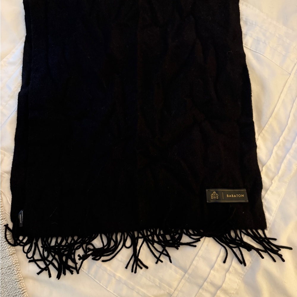 Aritzia Aspen Cashmere Scarf